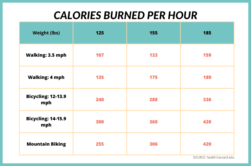 Cycling v Walking Which is Better ANALYSIS