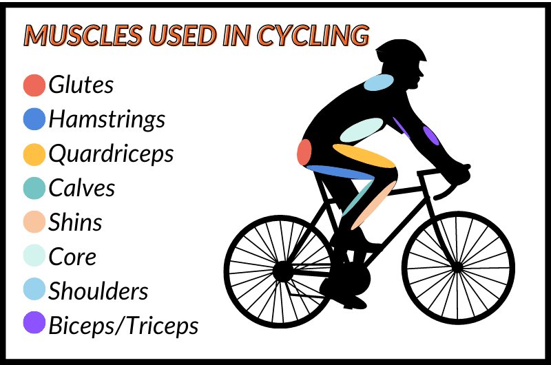 Full body workout bicycle sale