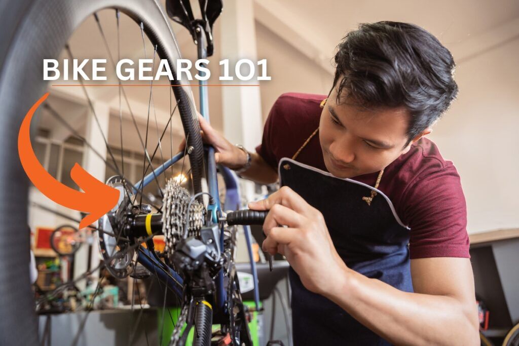 Servicing bike gears sale