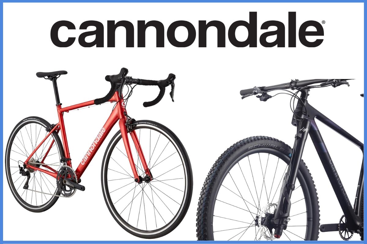 Top bike brand hot sale