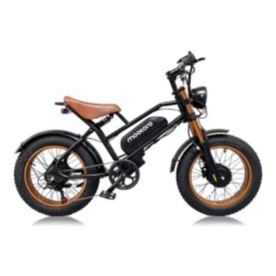DualMotor Electric Bike 6 of the Best Powerful EBikes