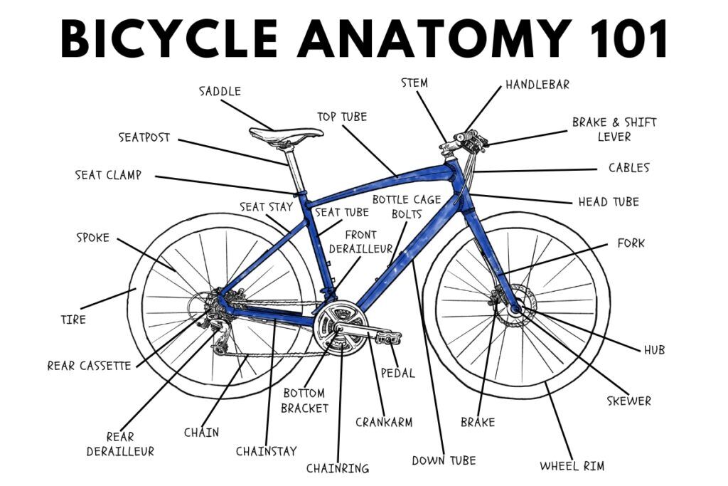 Bicycle Anatomy 101 Diagram Finally Name Your Bike s Parts