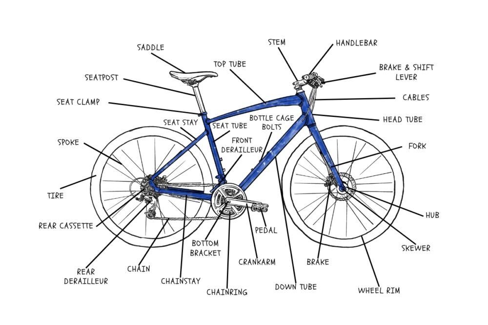 Bicycle Anatomy 101 Diagram: Finally Name Your Bike's Parts